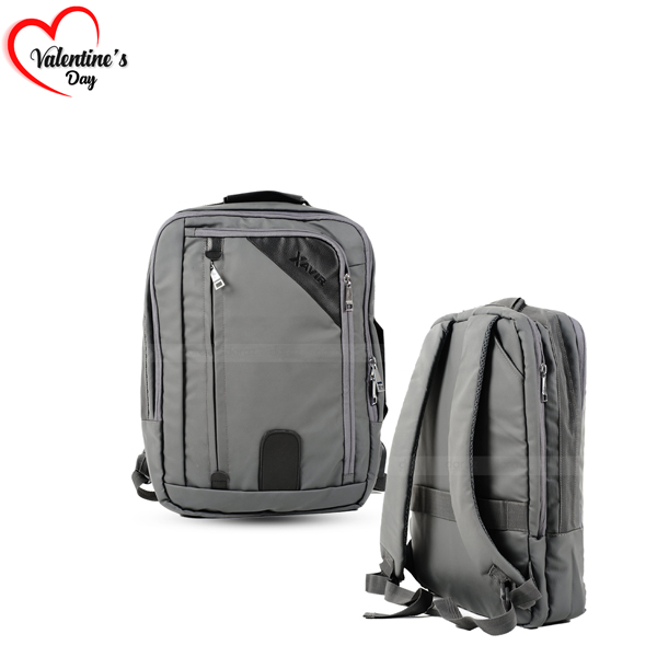 School, College, Laptop, Travel Bag Pack For Men : XB-04 Ash ABP-04