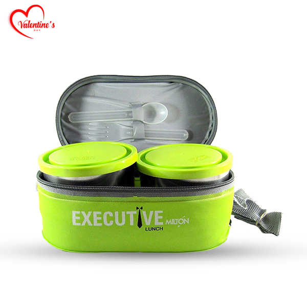 Milton Executive Lunch Box Soft Insulated Tiffin Box  RF6