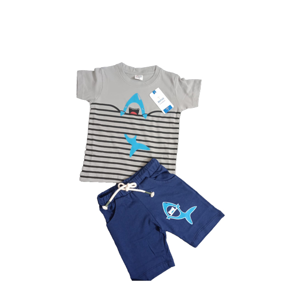 Boys T-shirt & Pant Set PBSP17